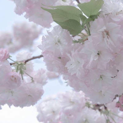 兽设雨夜场景绘制Furry群